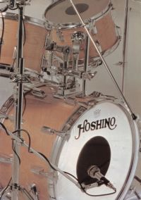 Hoshino brochure